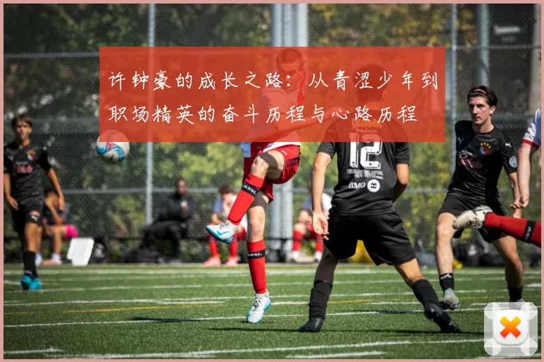 许钟豪的成长之路：从青涩少年到职场精英的奋斗历程与心路历程