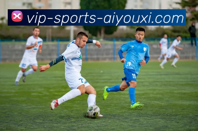 爱游戏服务体系